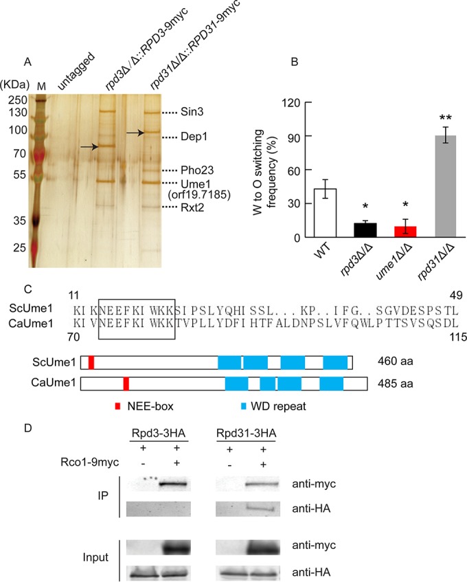 FIG 4 