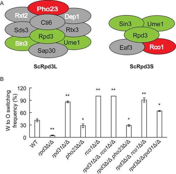 FIG 3 