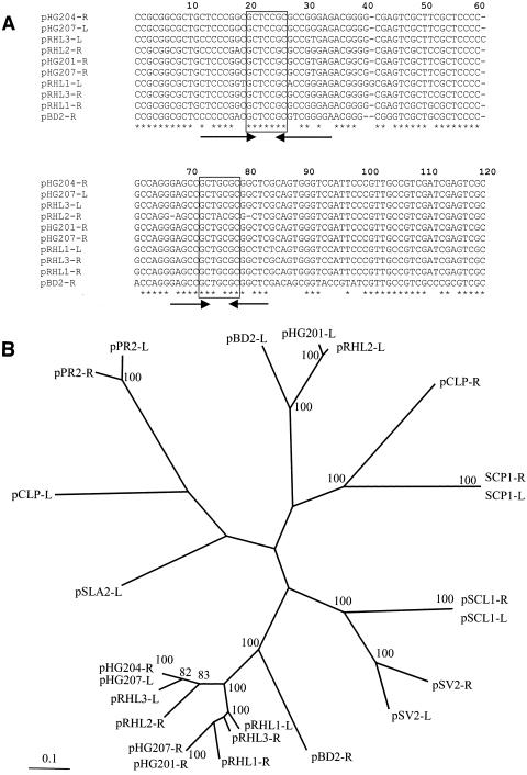 FIG. 2.