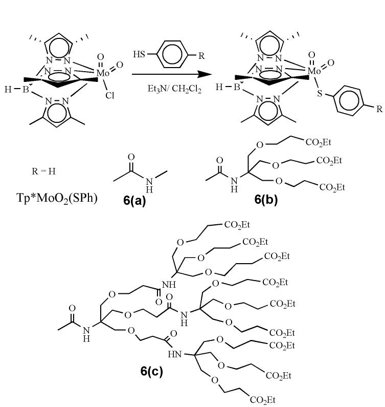 Scheme 2