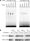 Figure 2.