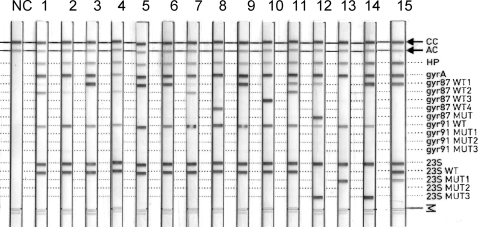 FIG. 2.