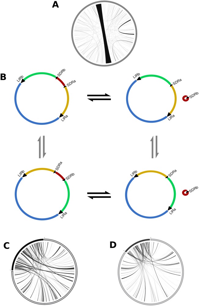 Fig 2