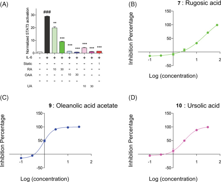 FIGURE 3