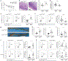 Fig. 4 |