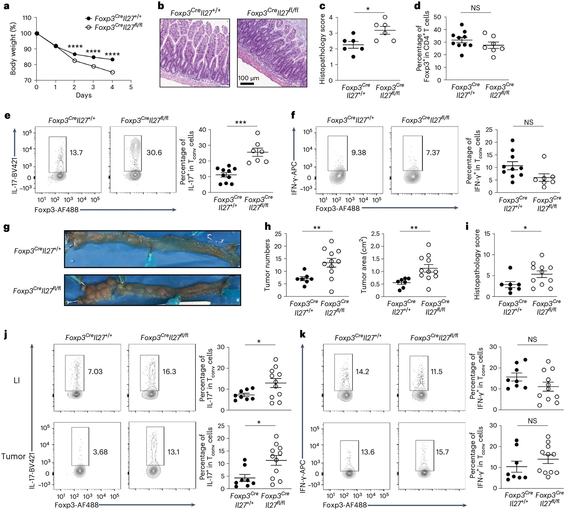 Fig. 4 |