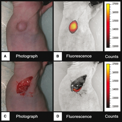 Fig. 3