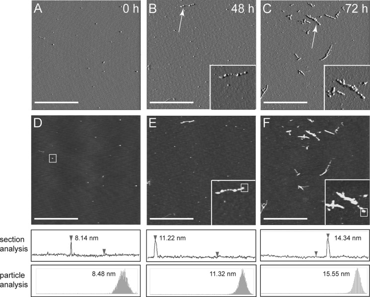 FIGURE 3.