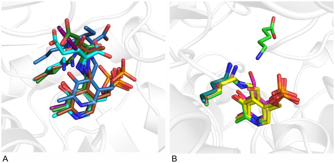 Figure 5