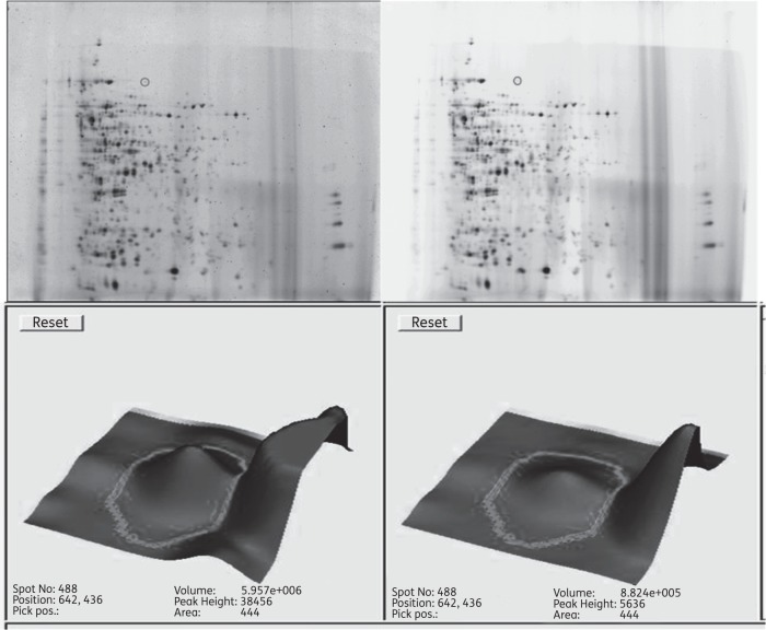 Figure 1.