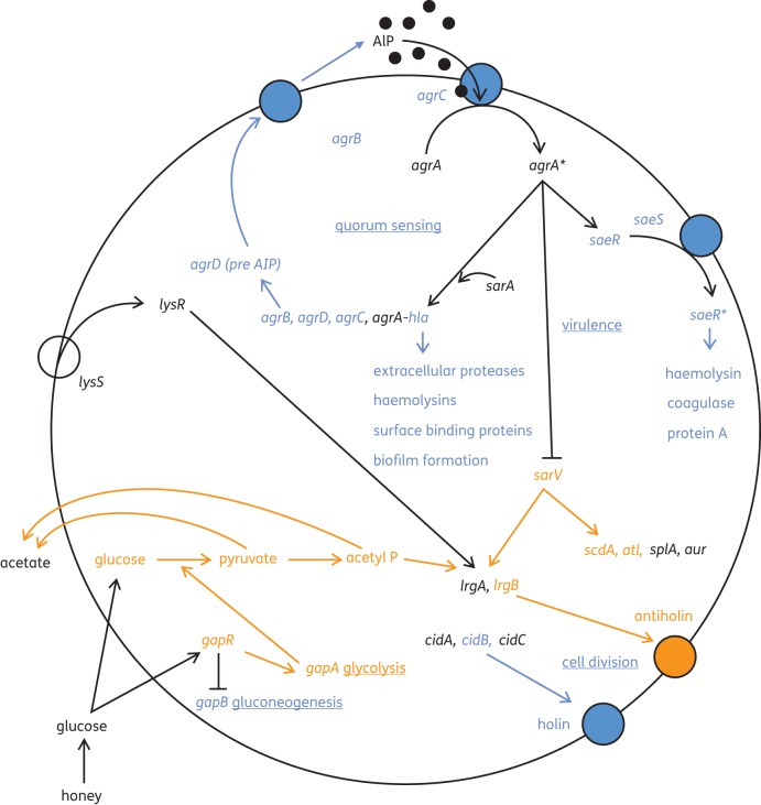 Figure 4.