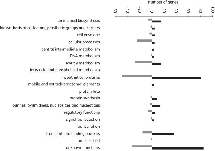 Figure 2.