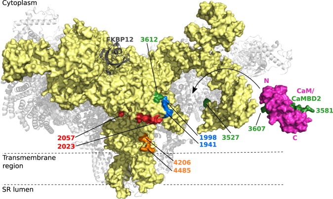 Figure 2.