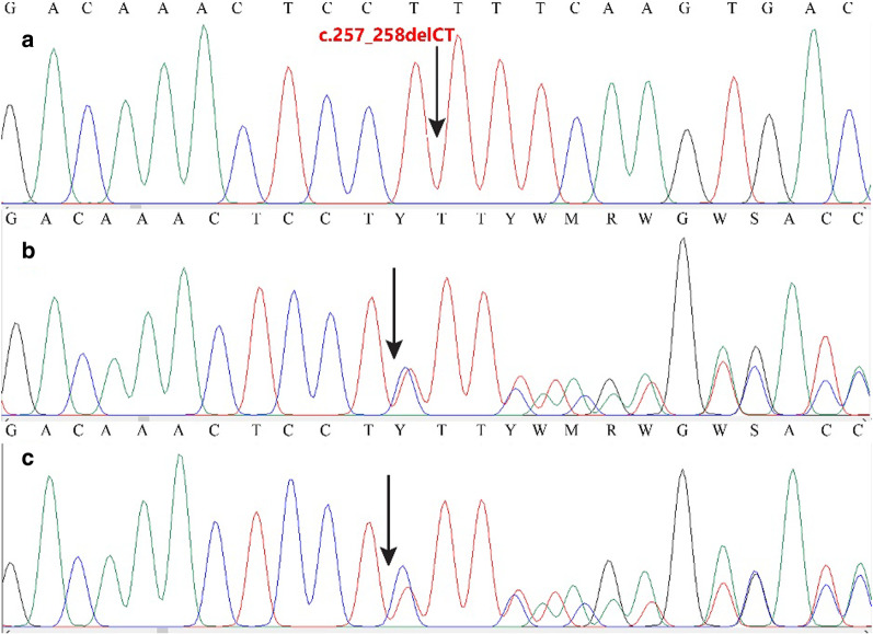 Fig. 2