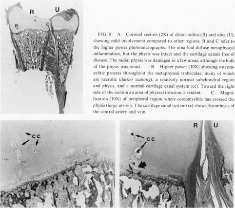 FIG. 8