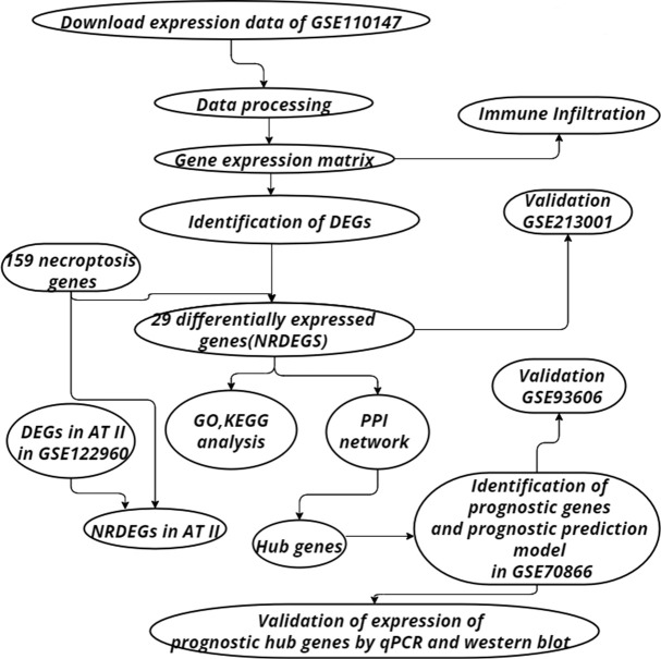 Figure 1