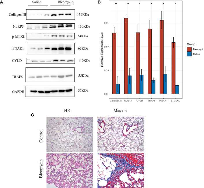 Figure 12