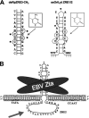 FIG. 7.