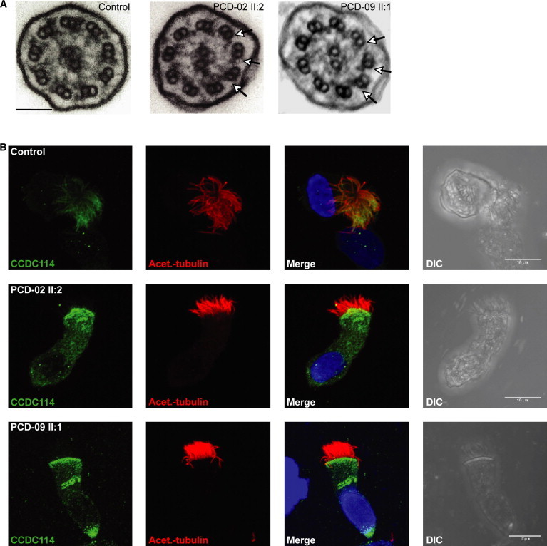 Figure 3