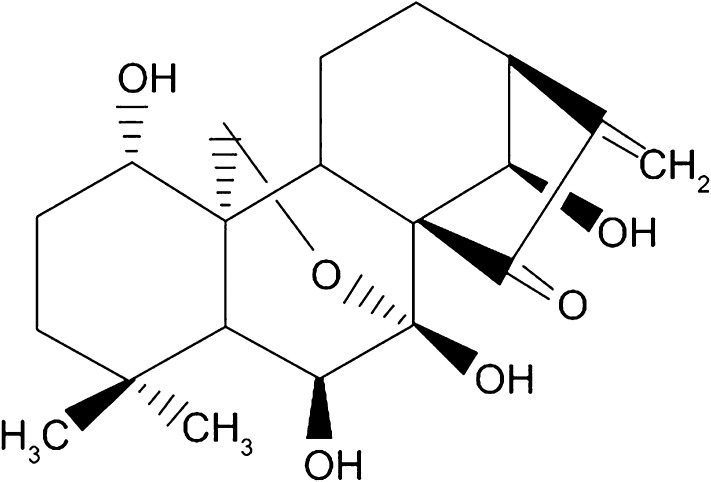 Fig. 1