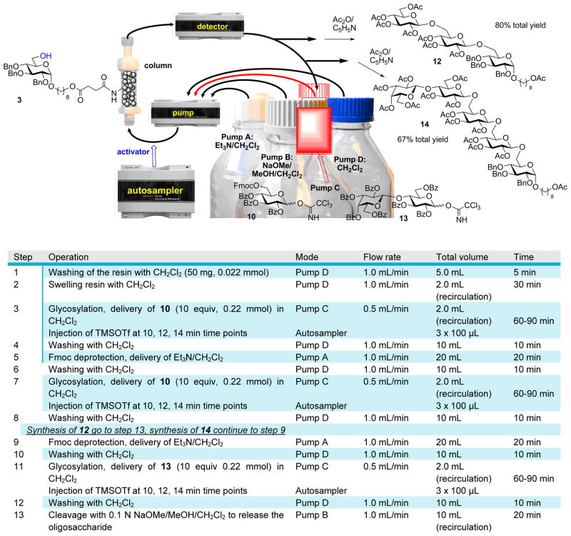 Scheme 4