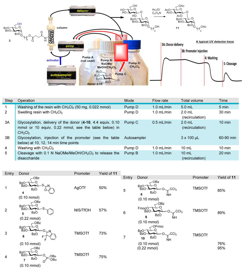 Scheme 3