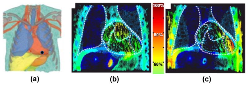 Fig. 16