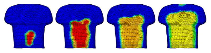 Fig. 14