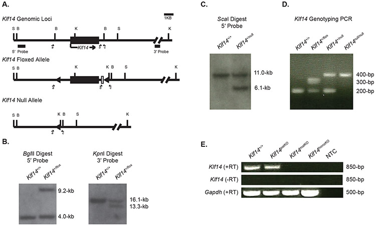 Figure 1: