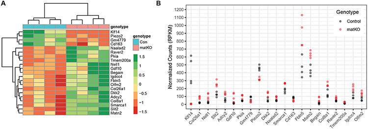 Figure 3: