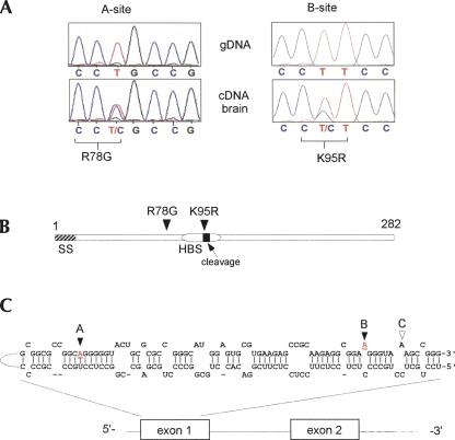 FIGURE 4.