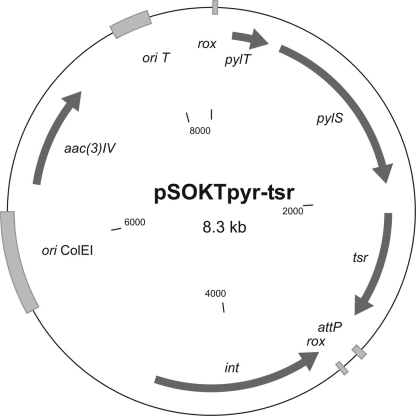 Fig. 10.