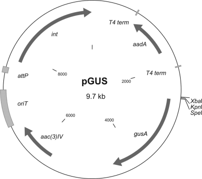 Fig. 5.