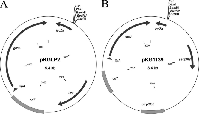 Fig. 3.