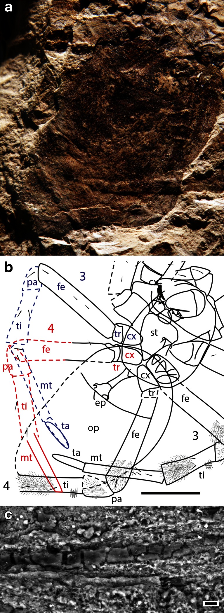 Fig. 4