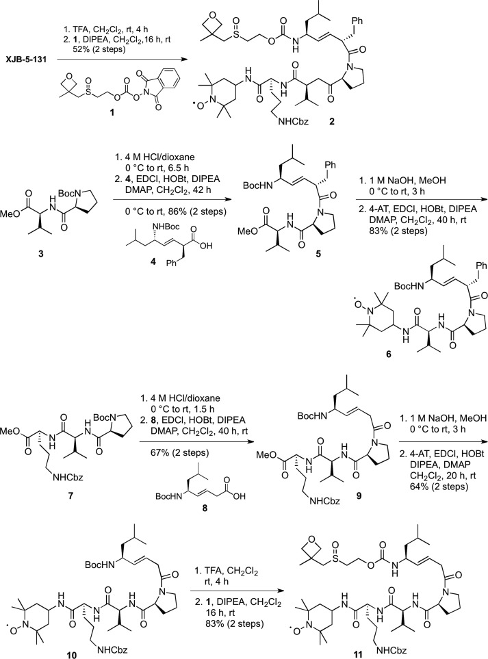 Scheme 1