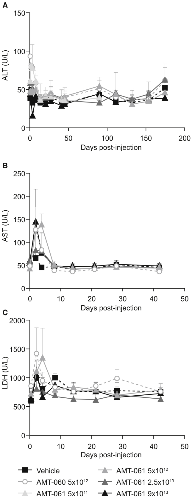 Figure 6