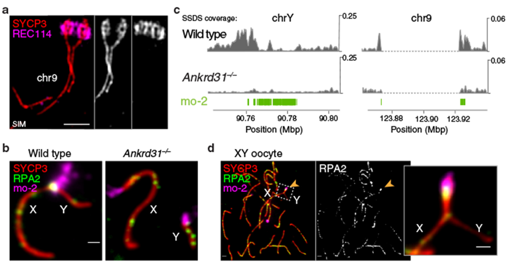 Fig. 4: