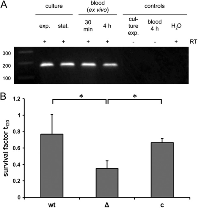 Fig 8