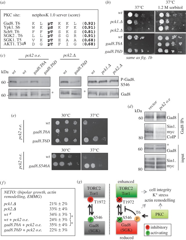 Figure 6.