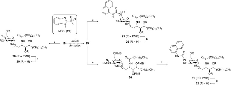 Scheme 5