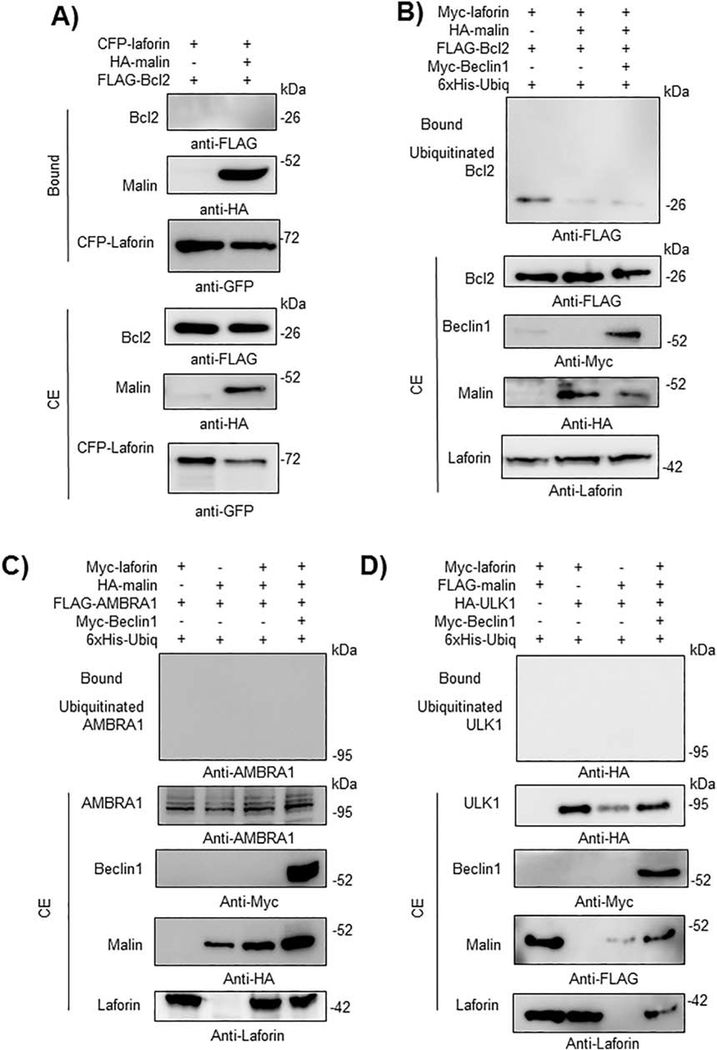 Fig. 9.-