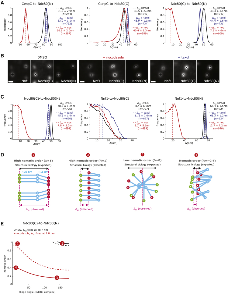 Figure 4