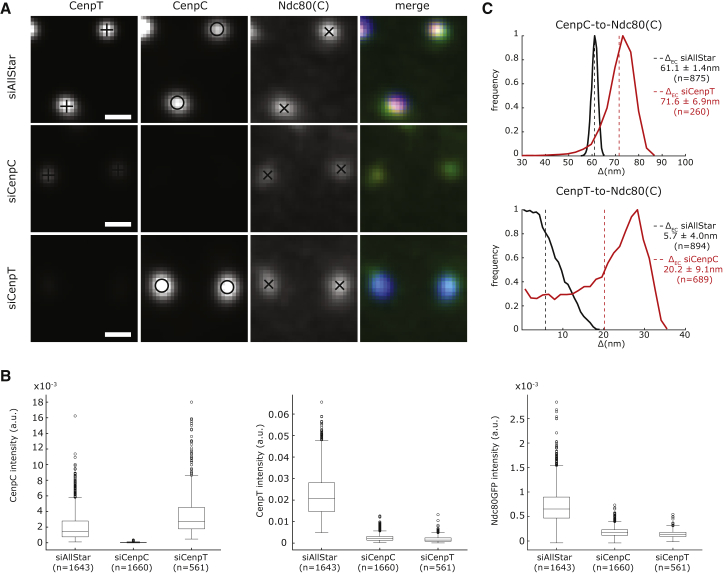 Figure 3