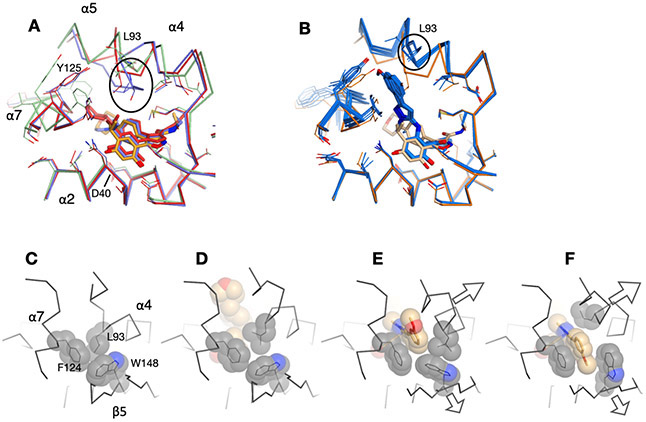 Figure 7.