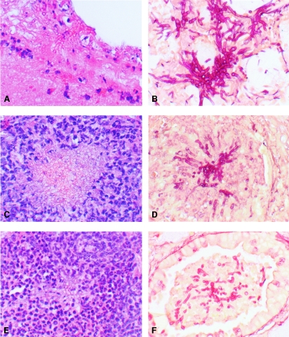 FIG. 7.