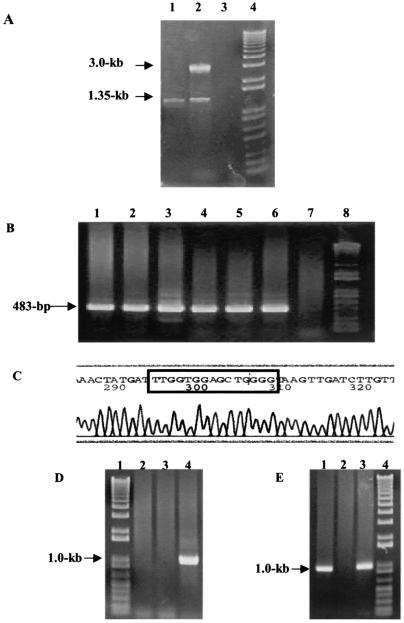 FIG. 2.