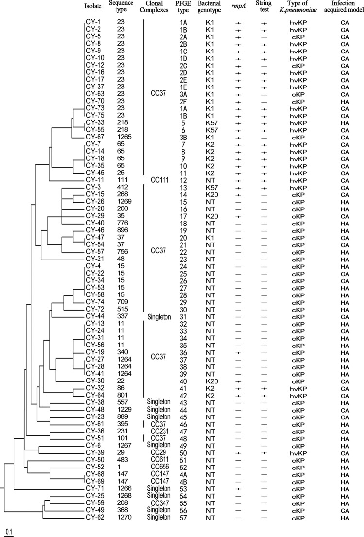 FIG 1