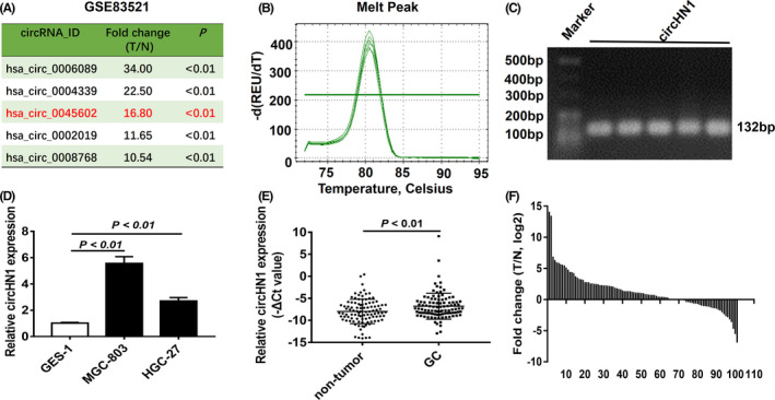 FIGURE 1