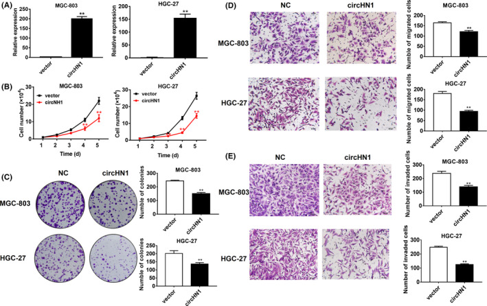 FIGURE 4